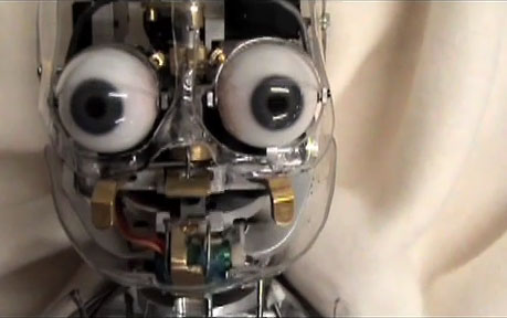 A cute bug eyed robot. OK it's not cute. It's terrifying!!